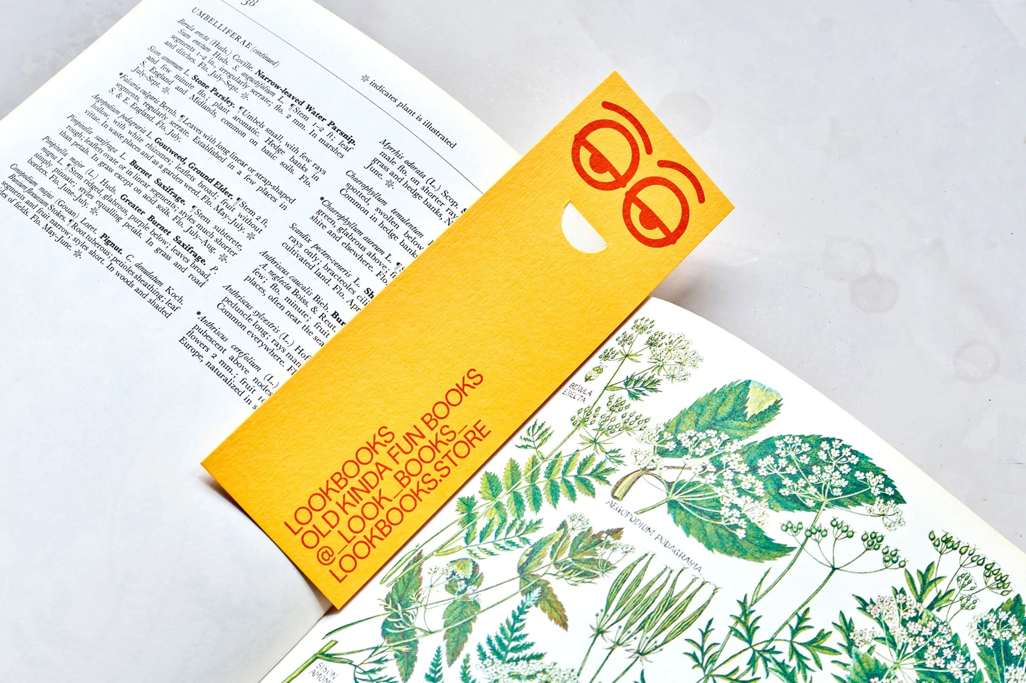 Botanical book open with yellow bookmark featuring a smiley face; educational and fun reading promotion.