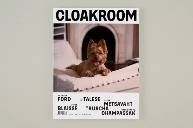 Brand Identity