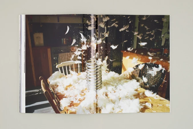 Open book spread featuring a table covered in white feathers, a silver object, and chairs in an indoor kitchen setting.