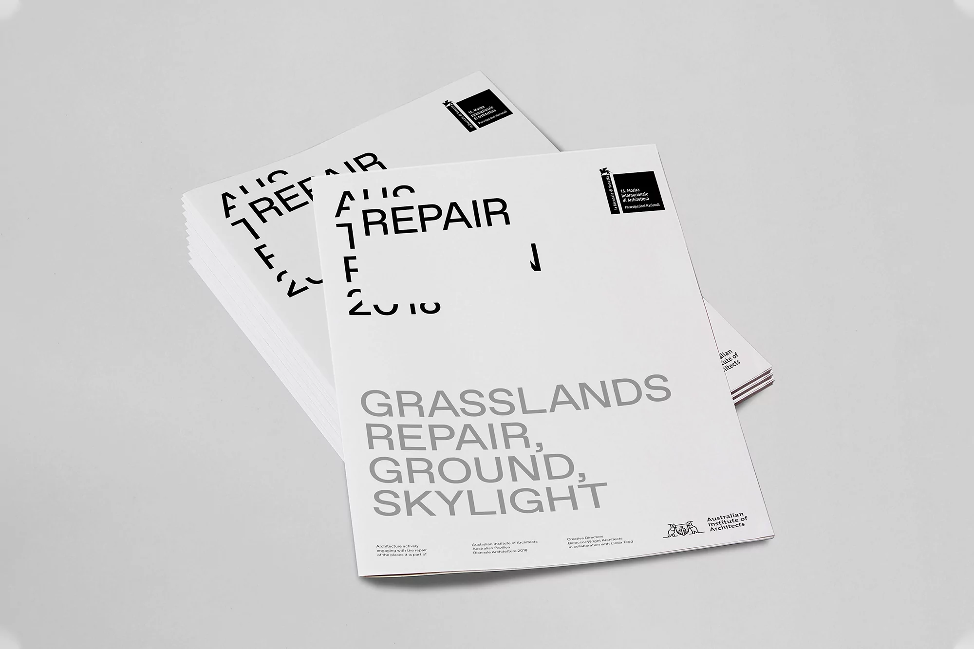 Stacks of architectural reports featuring the text 'Grasslands Repair, Ground, Skylight' in grey against a light grey backdrop.