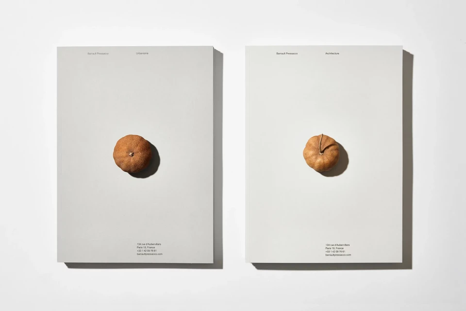 Brand Identity