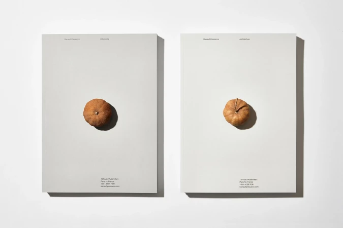 Brand Identity