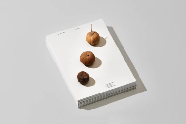 A stack of white paper with three small dried citrus fruits arranged vertically on top, resting on a pale grey background.