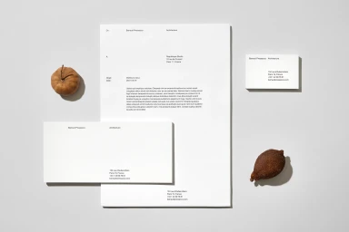 Flat lay of Barrault Pressacco brand identity stationery on a light grey background with small dried seed pods