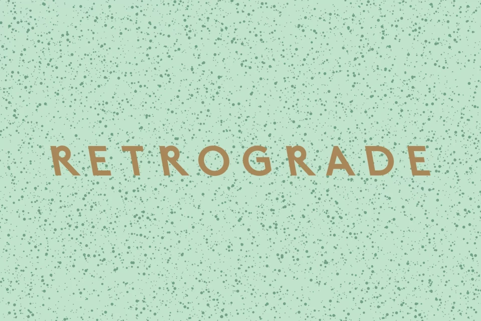 Brand Identity
