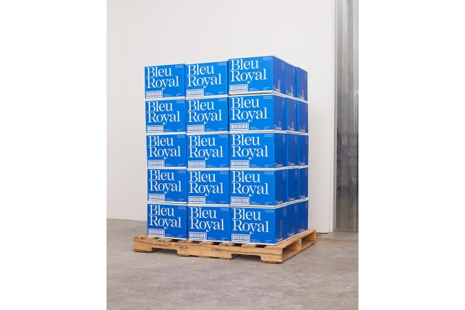 Brand Identity