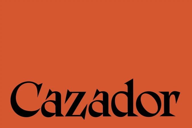 Brand Identity