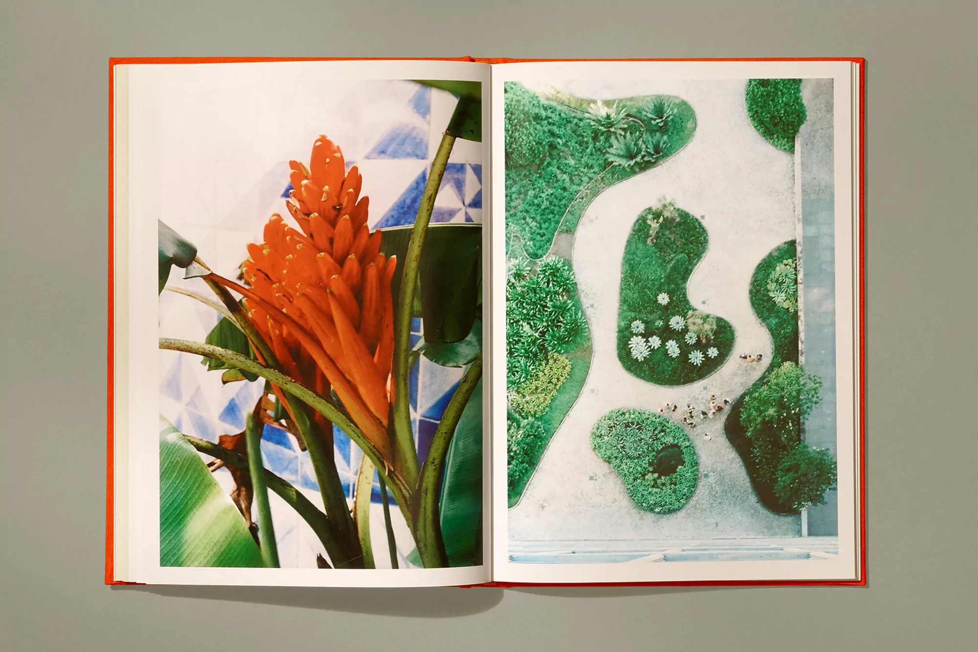 Open book featuring a close-up photo of an orange flower and an aerial view of a green garden with walkways, set against a gray background.