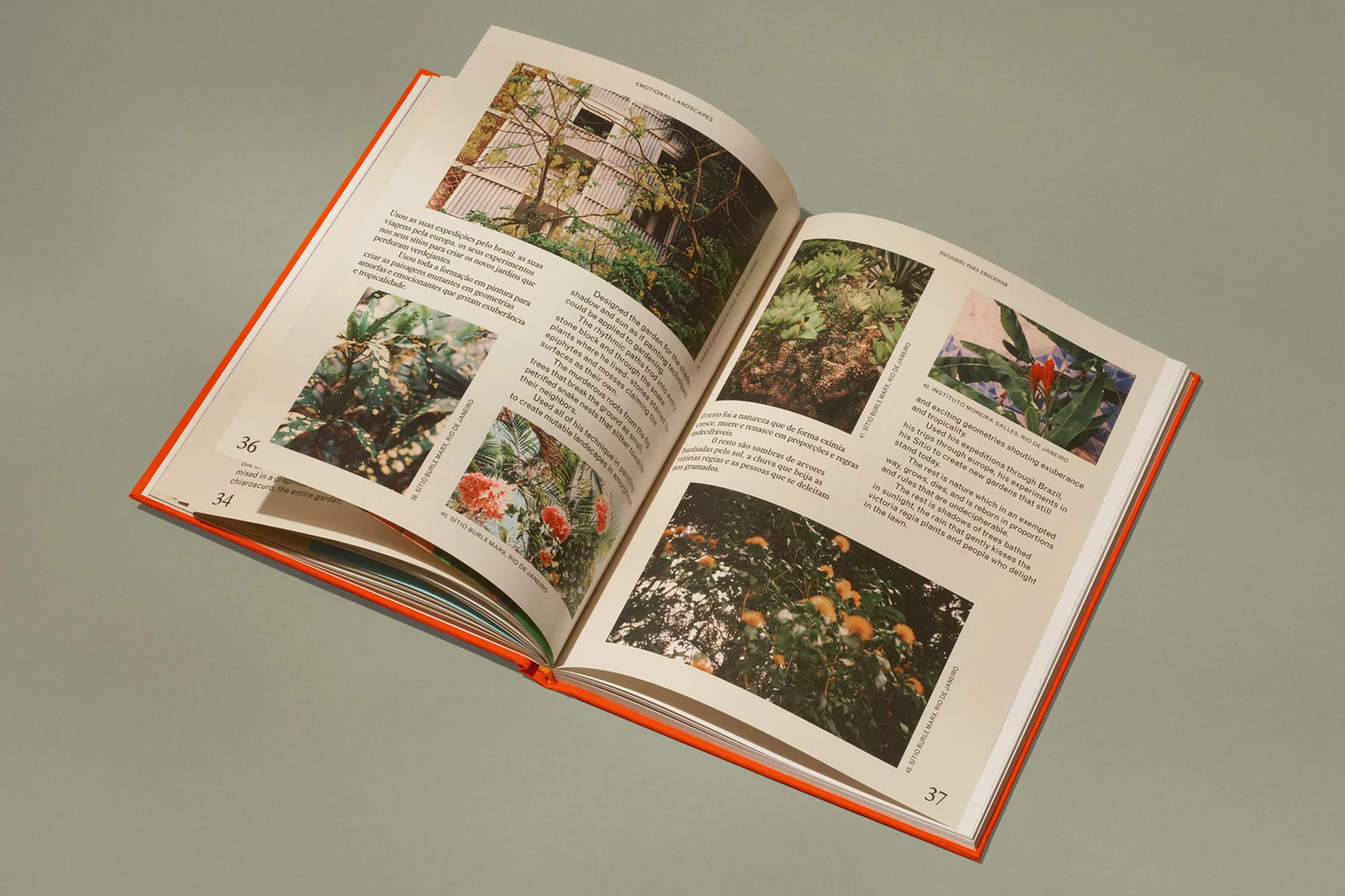 Open book displays lush tropical foliage, featuring close-up photographs of exotic plants with descriptive text on a light gray background.