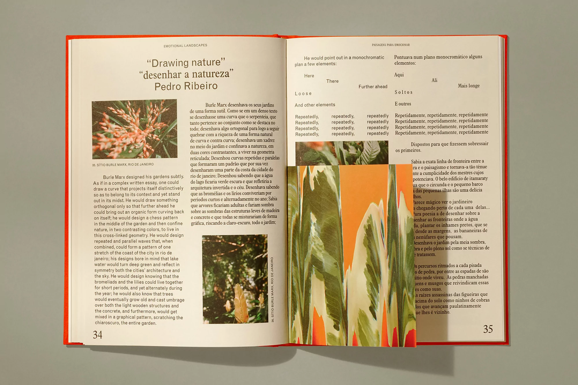 Open book featuring text and plant images, creating a collage effect, displayed on a neutral surface, highlighting the book's design.