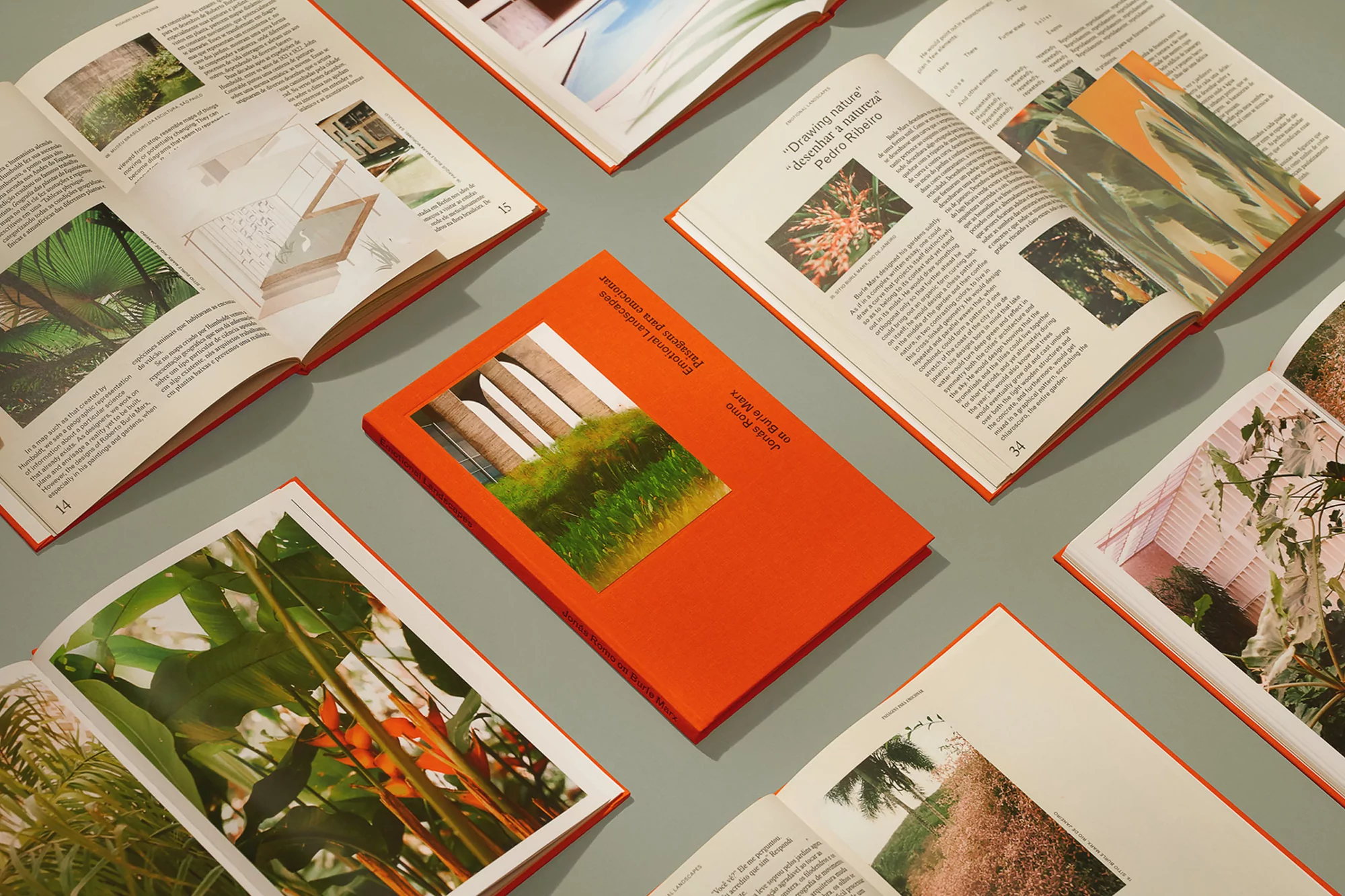 Still life of open books with nature imagery and an orange book with white text and green grass detail on a light grey surface.