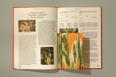 Open book titled Emotional Landscapes featuring bilingual typography, photography, and an abstract folded insert
