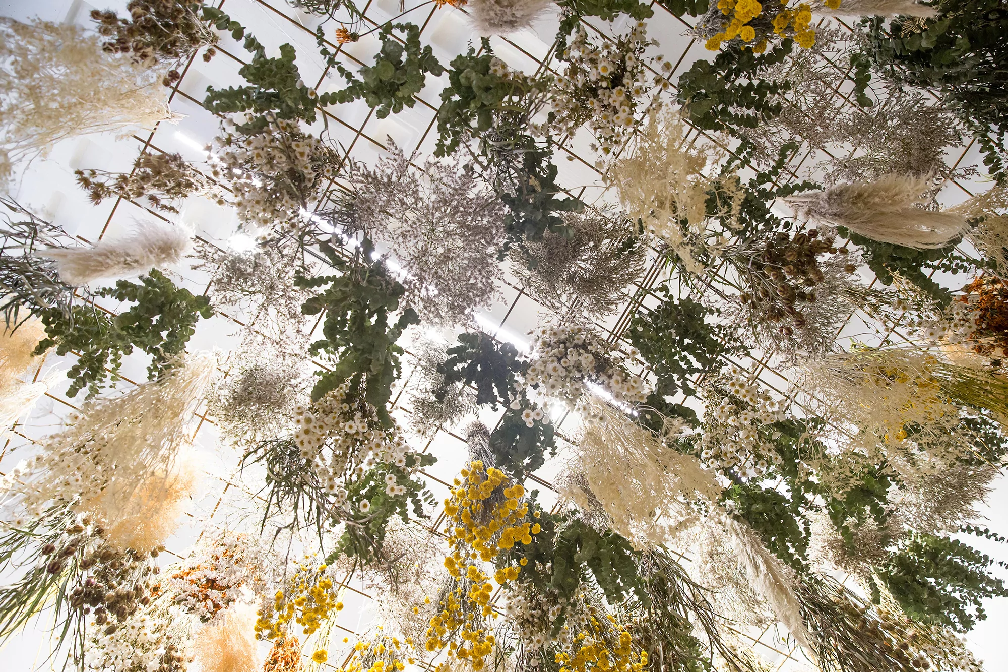 Dried flower arrangement suspended from a metal grid, featuring white, yellow, and green floral elements with a bright, upward perspective.