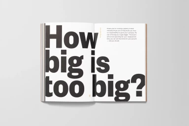 Open book layout featuring oversized bold typography asking How big is too big against a clean grey background