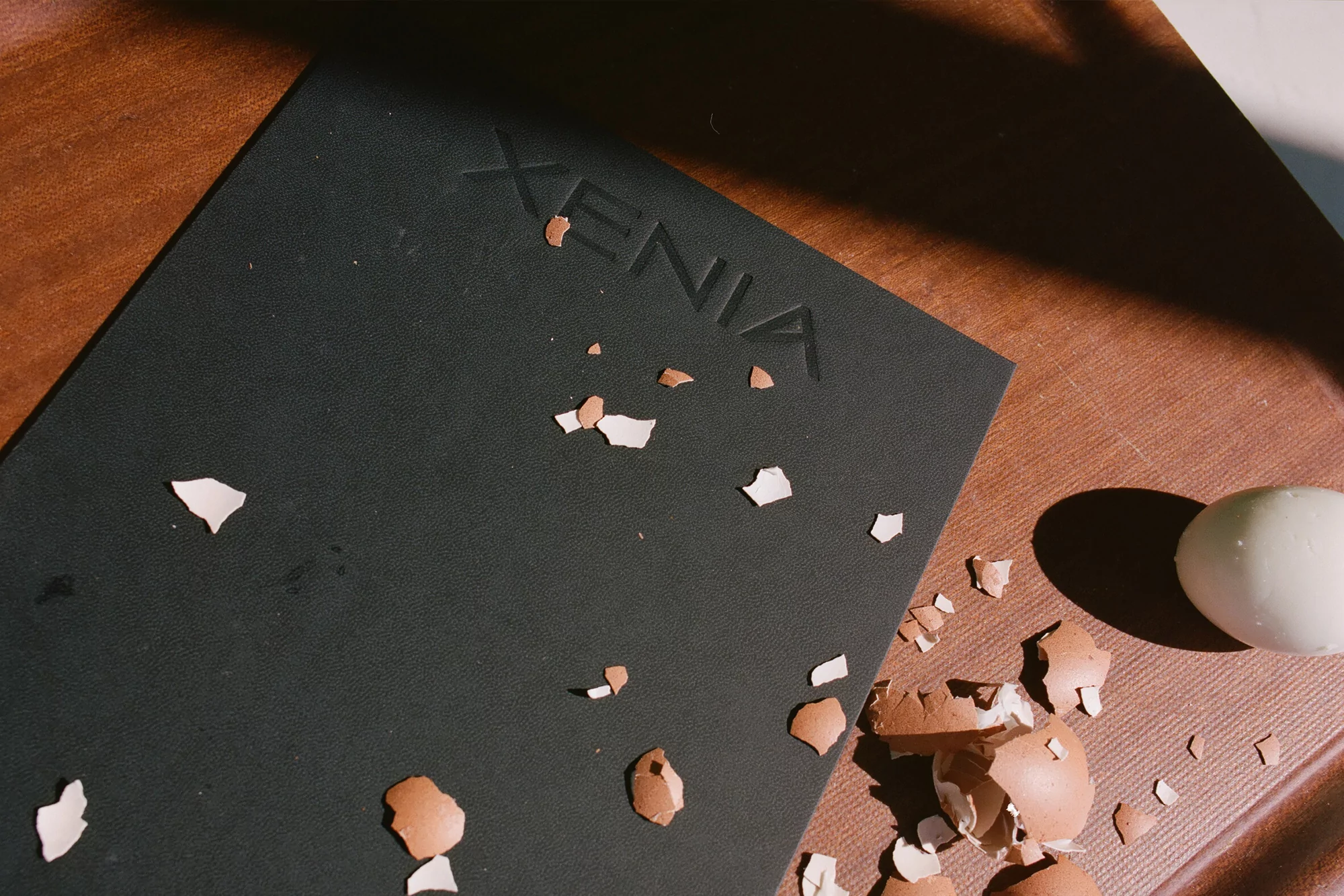 Cracked eggshells scattered on a black surface next to a whole egg. The scene is bathed in warm, natural lighting.