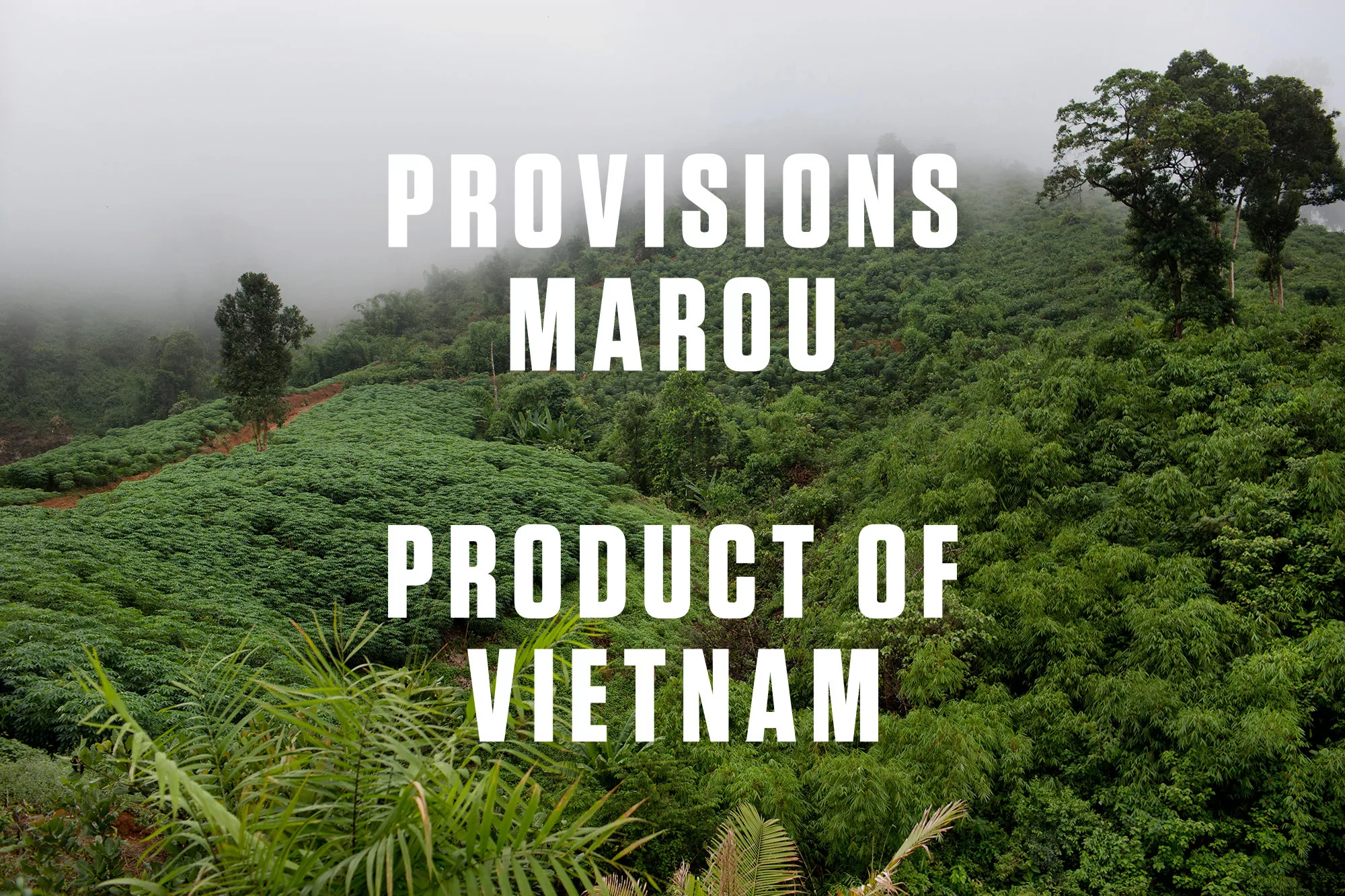 Lush green hillsides covered in trees and vegetation under a foggy sky, featuring text that reads, 'Provisions Marou Product of Vietnam'.