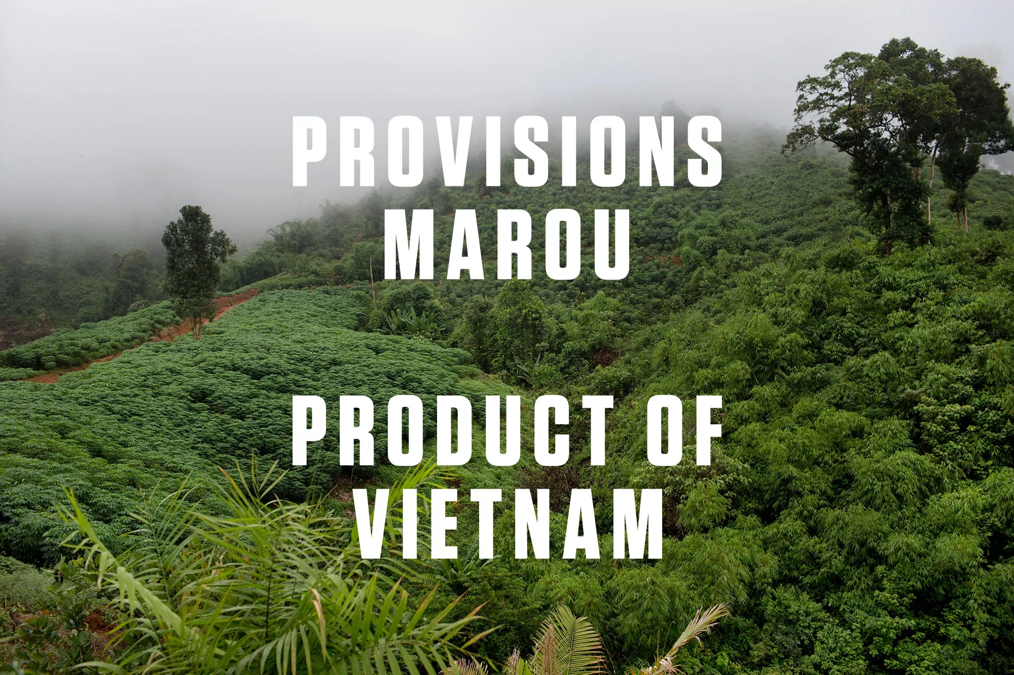 Lush green forest landscape and hillside plantation shrouded in heavy mist under an overcast sky with bold white text overlay