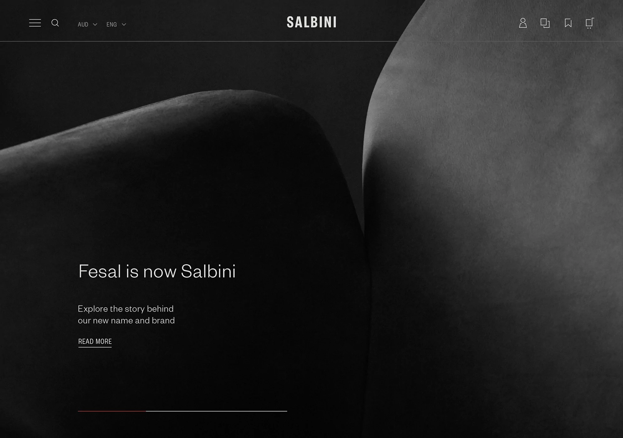Website homepage displaying the brand name 'Salbini' with a monochromatic, abstract, and minimalist aesthetic in dark gray tones.