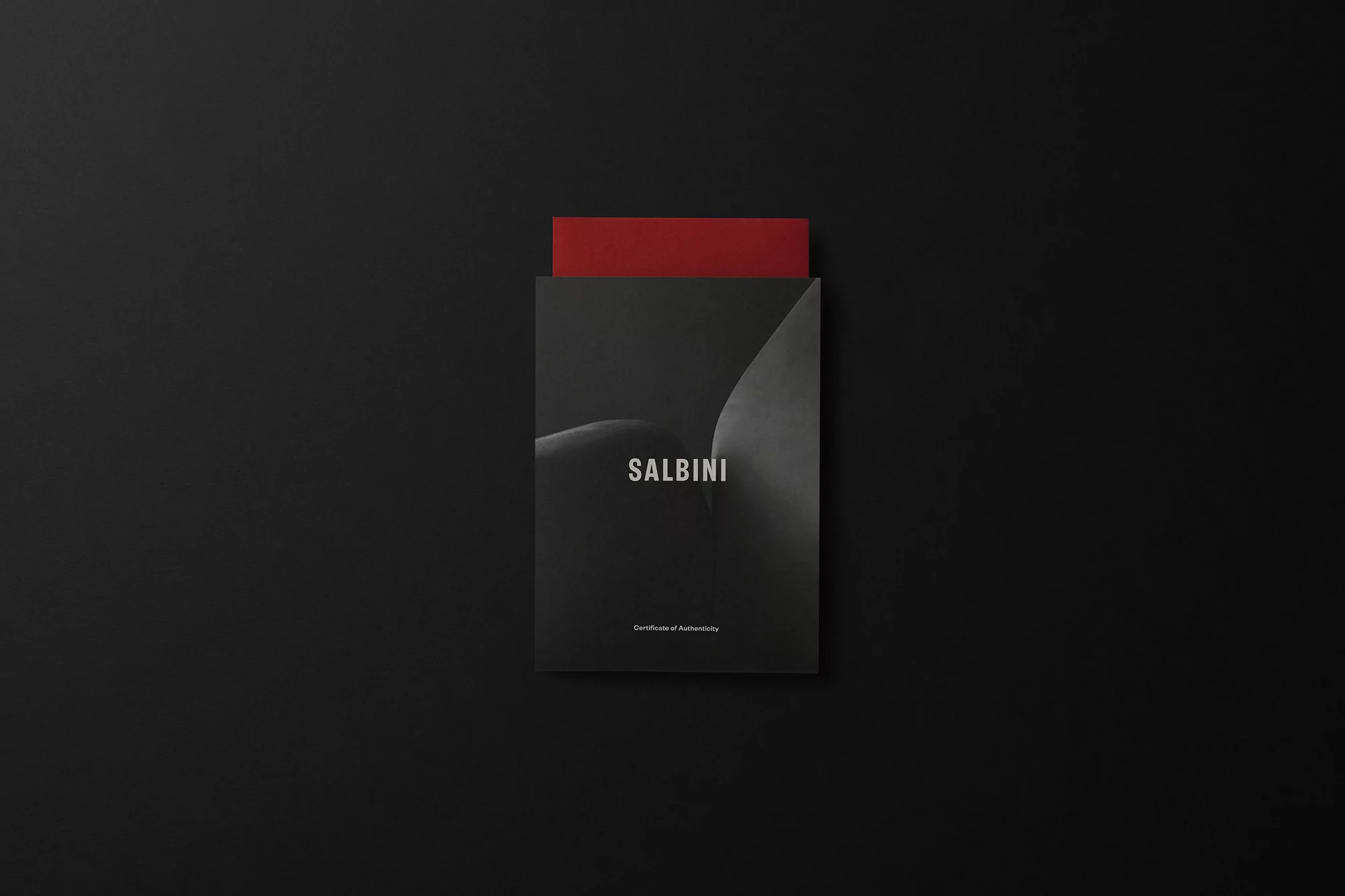 Flat lay of a black book with 'SALBINI' printed on the cover, partially revealing a red sheet of paper against a solid black background.