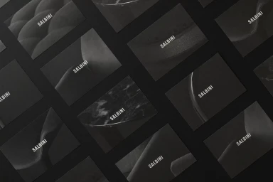 Flat lay of multiple dark rectangular cards featuring the Salbini brand logo arranged on a dark surface.