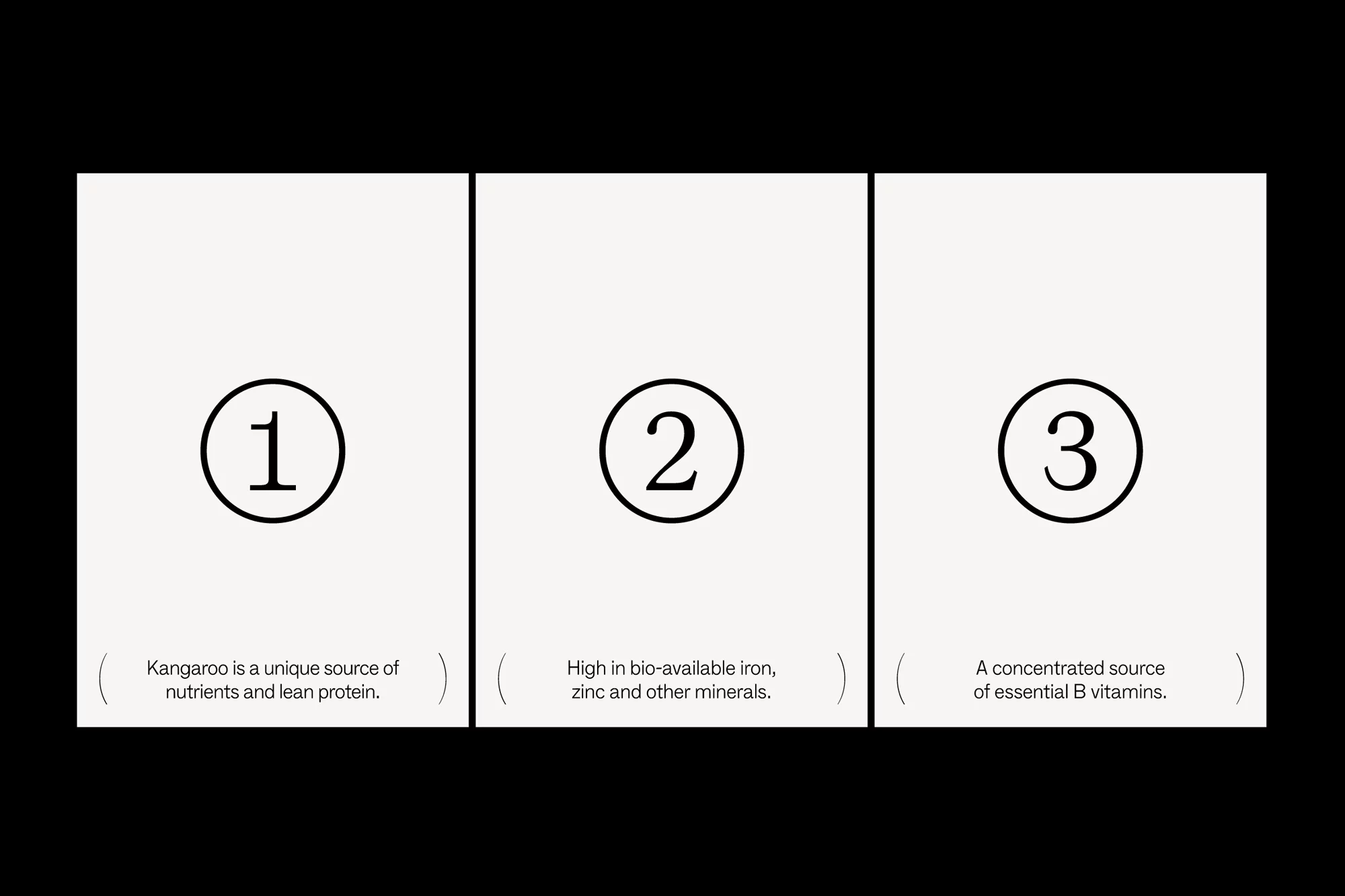 Three panels showcase nutrition information: panel 1 kangaroo benefits, panel 2 iron and zinc content, panel 3 highlights essential B vitamins.