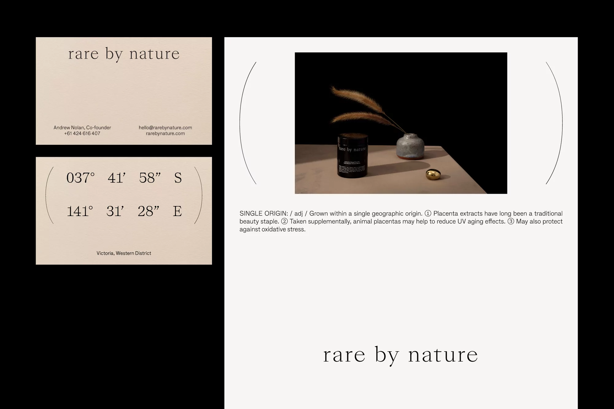 Product shot featuring a dark jar with a label, a small vase with dried grass, and a golden object on a beige surface.