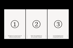 Three white vertical panels with encircled numbers one, two, and three alongside explanatory text for Rare by Nature brand identity.