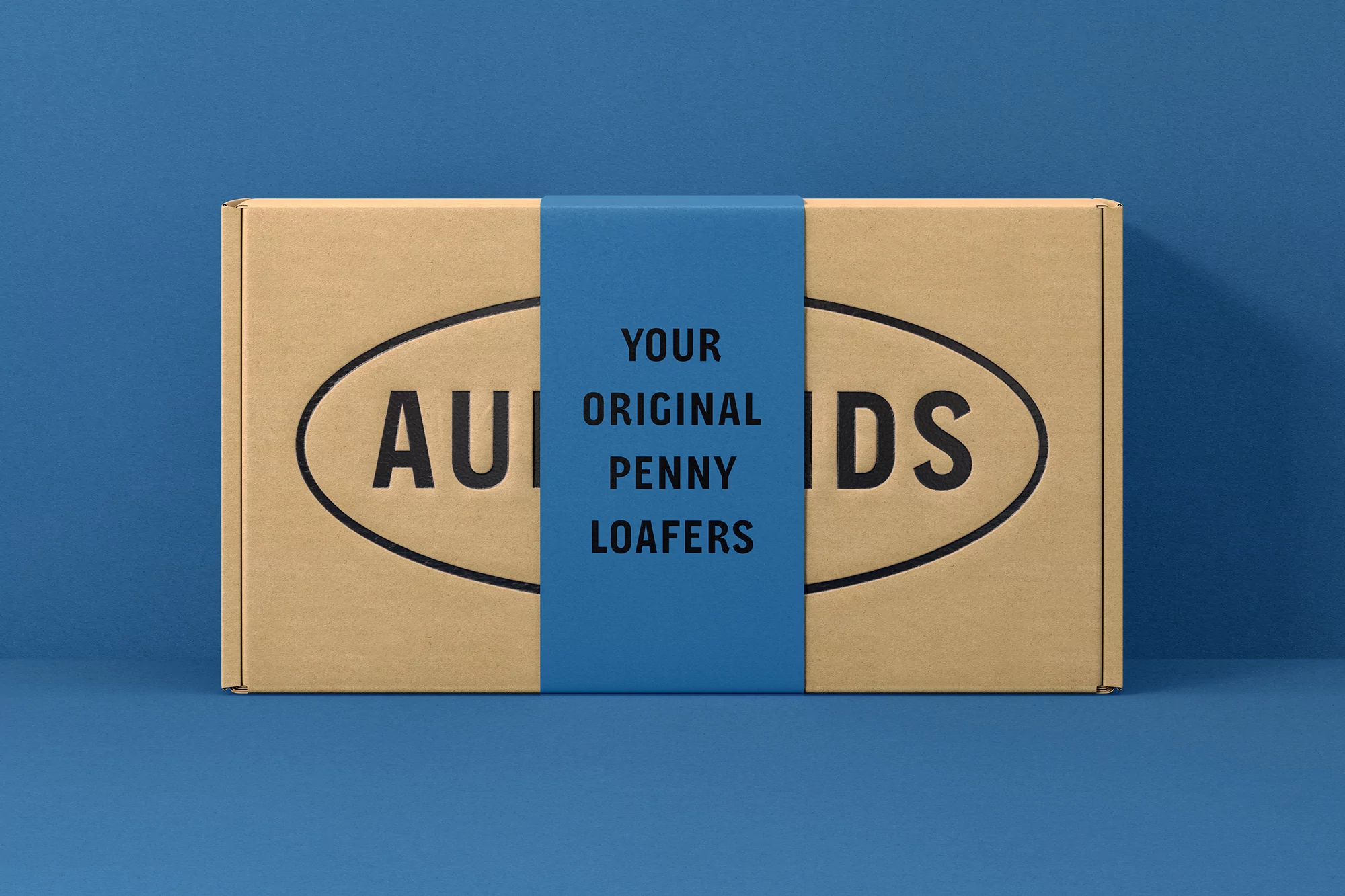 Eye-level studio shot of a cardboard box with dark text wrapped with blue paper displaying product-related information and branding.