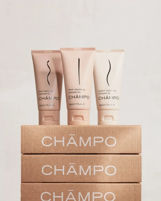 Brand Identity