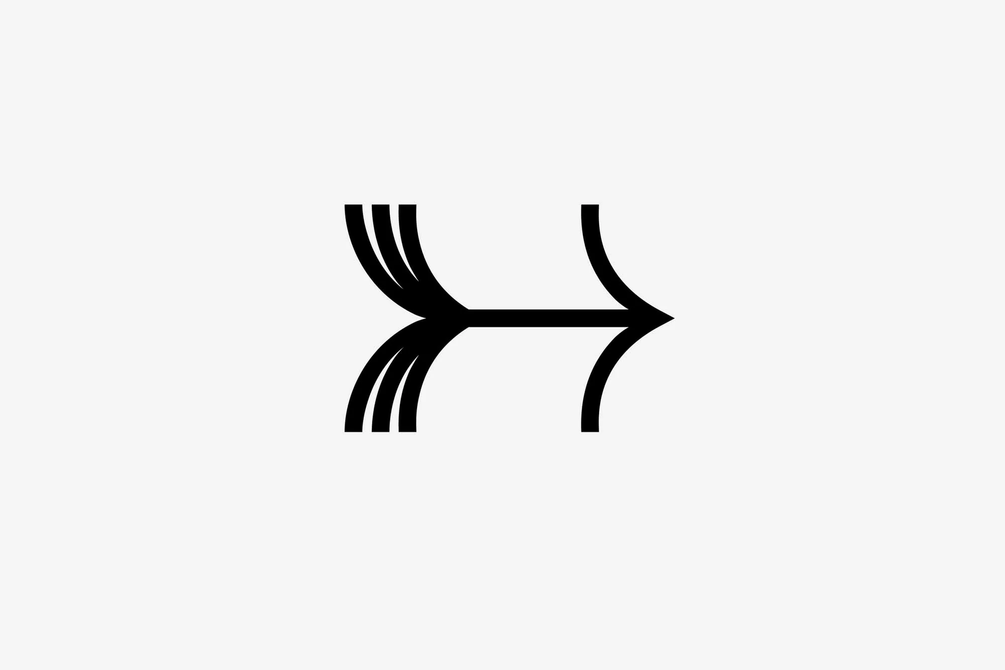 Graphic image of a black stylized arrow with multiple lines fanning out on the left side, centered on a white background.