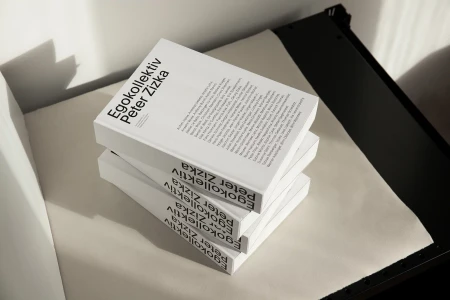 A stack of three white books titled Egokollektiv Peter Zizka resting on a light neutral surface with black frame edges.