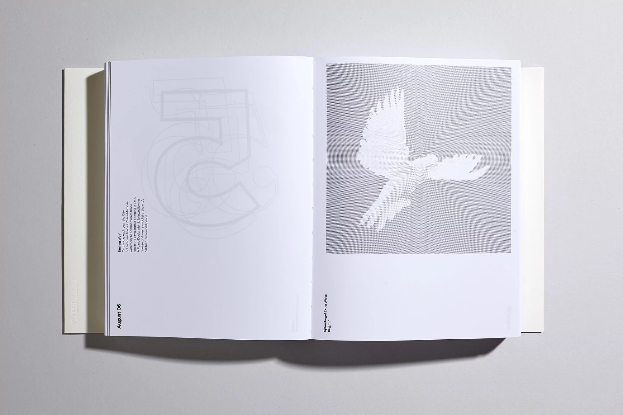 Open book displays an image of a dove in flight on the right page and the faint outline of the number '5' on the left page.