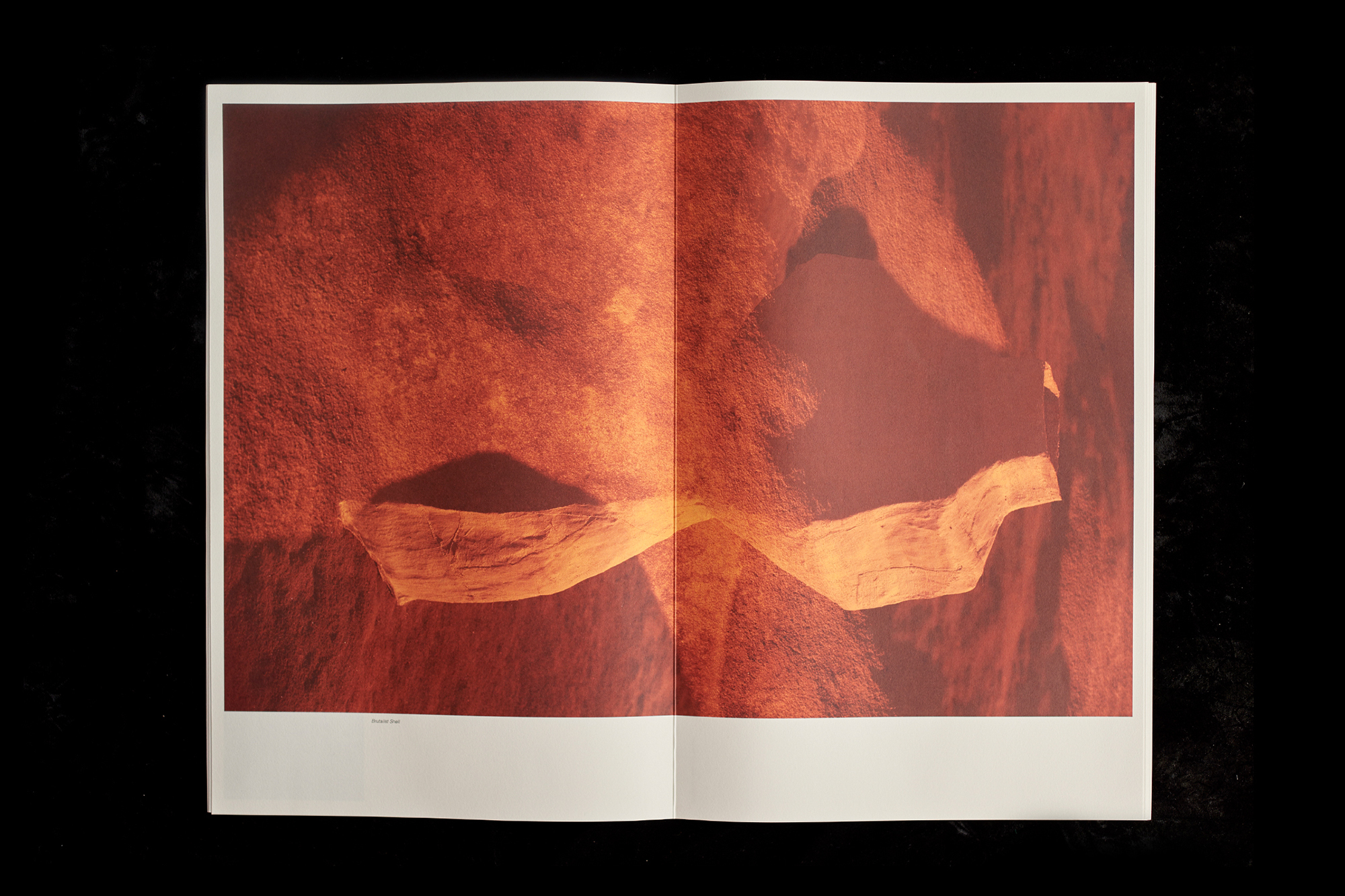 Open magazine featuring an abstract photograph of warm-toned rock formations in a soft, diffused light against a black background.