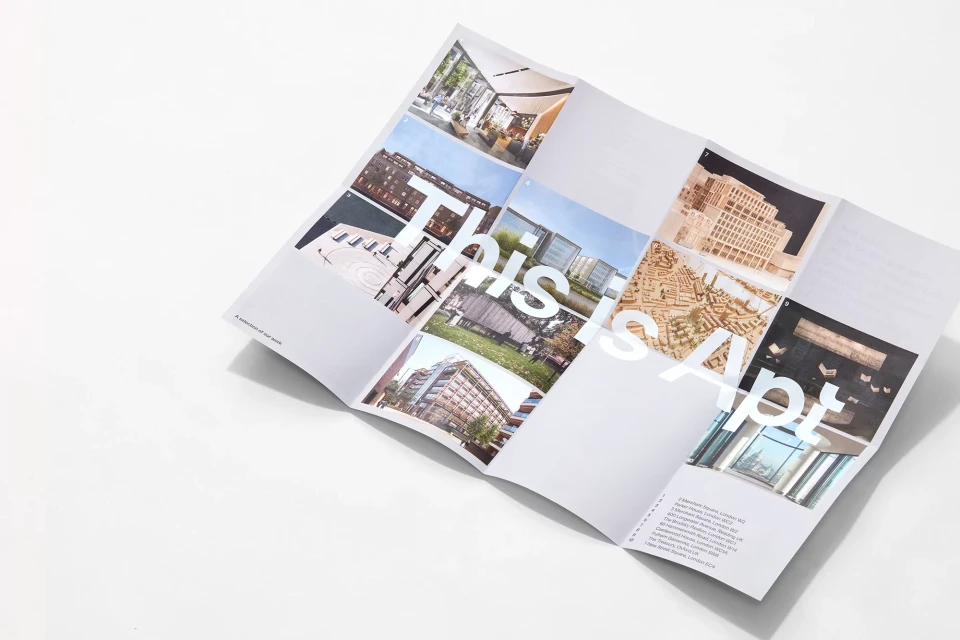 Brand Identity