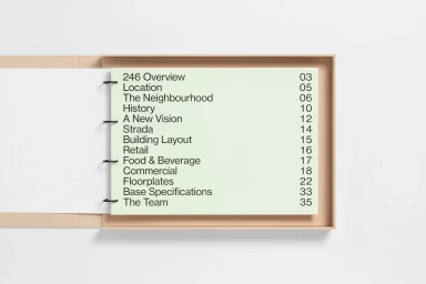 An open ring-bound brochure titled 246 Overview rests inside a tan presentation box against a clean light background.