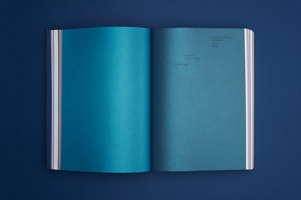 Brand Identity