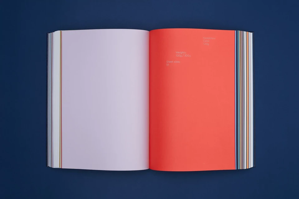 Brand Identity