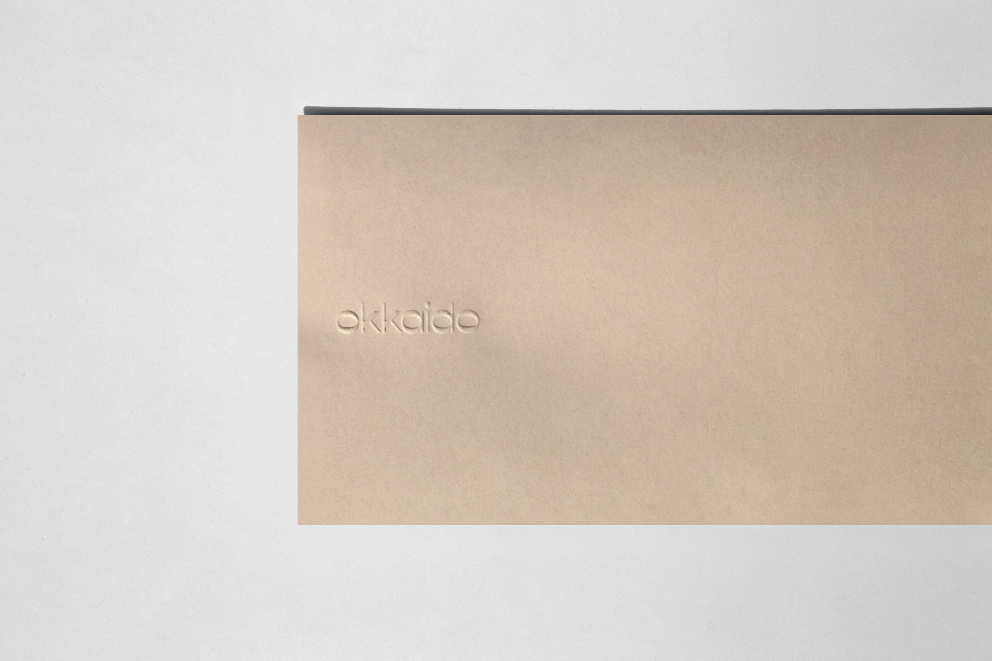 Studio shot of a minimalistic beige book with a dark trim, resting on a white surface, featuring subtle embossing.