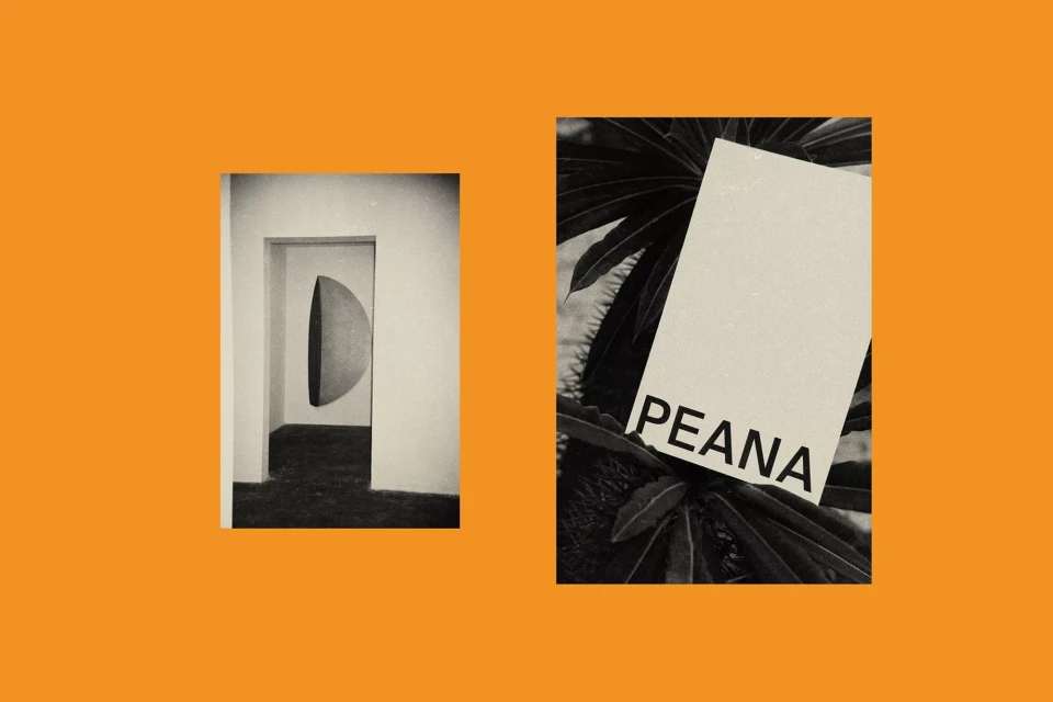 Monochromatic photograph featuring minimalist interior with arched doorway and a contrasting plant with a branding card on orange backdrop.