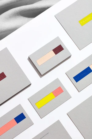 Arrangement of gray cards with colored stripes and text, spread across a white surface, conveying a modern and minimalist aesthetic.