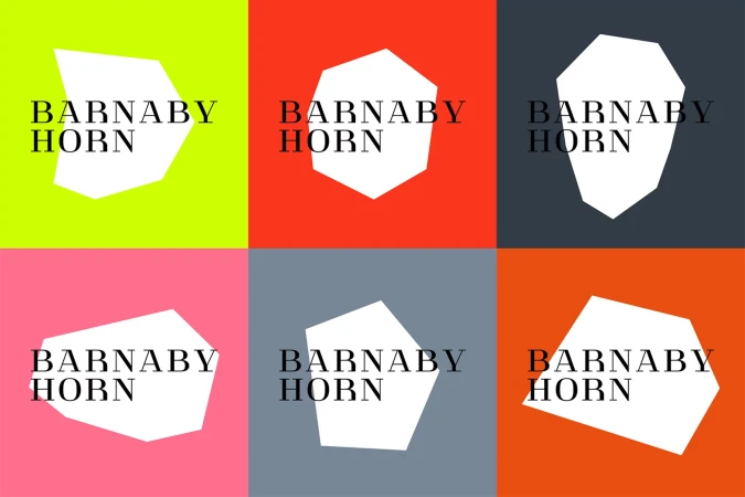 Colorful graphic design featuring the name 'Barnaby Horn' on white polygons against yellow, red, blue, pink, gray, and orange squares.
