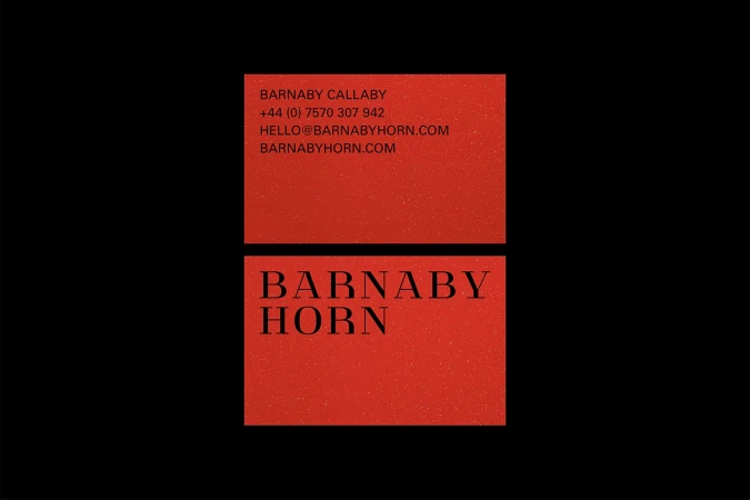 Two red business cards with black typography against a solid black background, showing contact details and the Barnaby Horn brand name