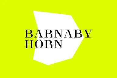 Barnaby Horn brand identity featuring black serif typography inside an irregular white polygon on a vibrant lime green background.