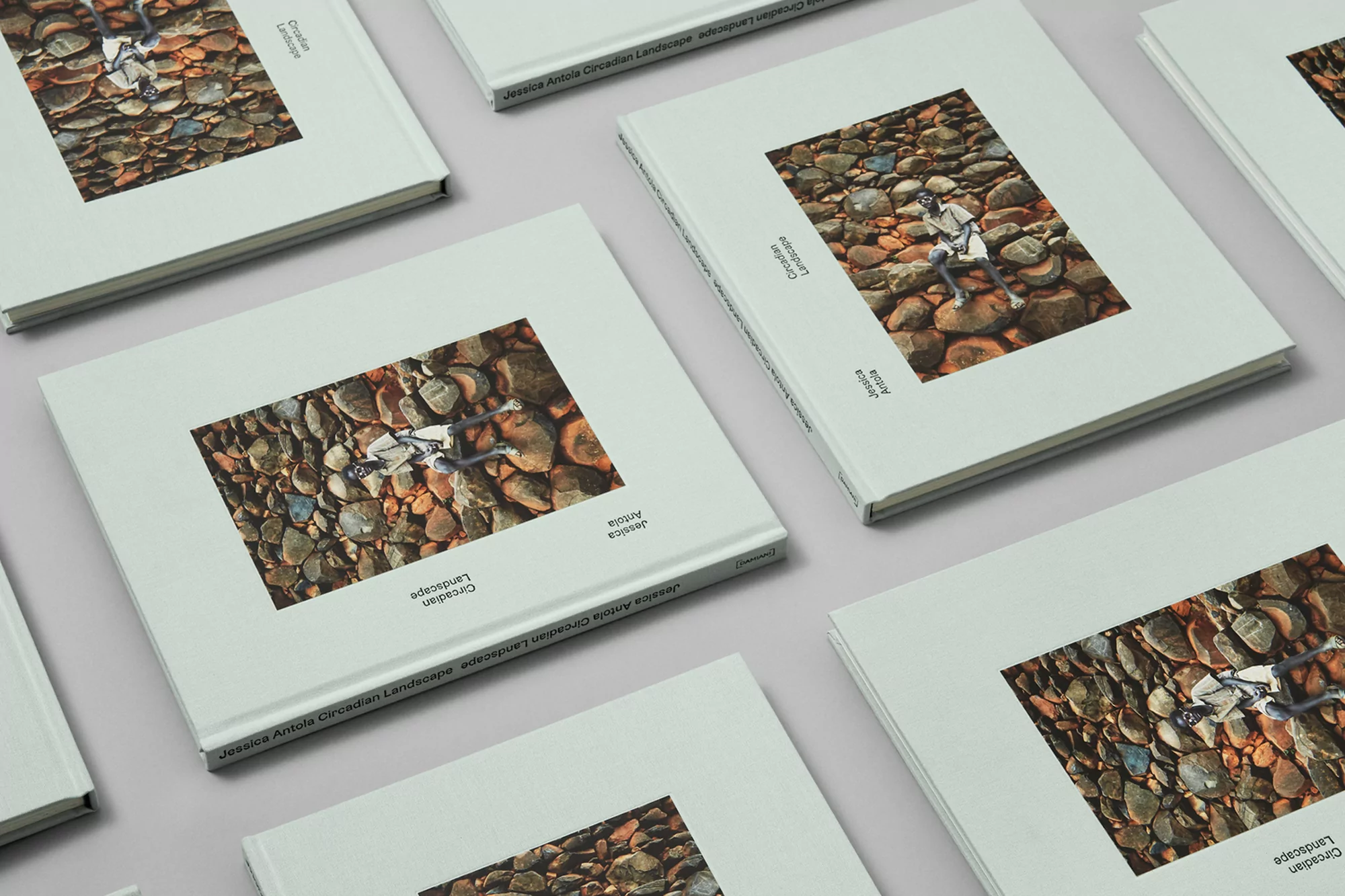 Multiple copies of the same landscape photography book are arranged on a light grey surface, providing a sense of depth and repetition.