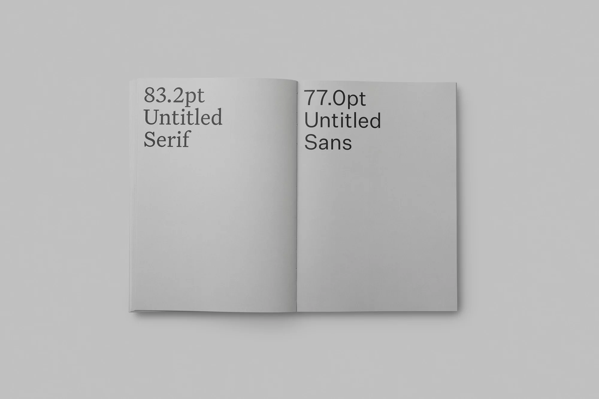 Open book featuring typography samples on white paper. Includes examples of serif and sans-serif fonts on a light grey background.