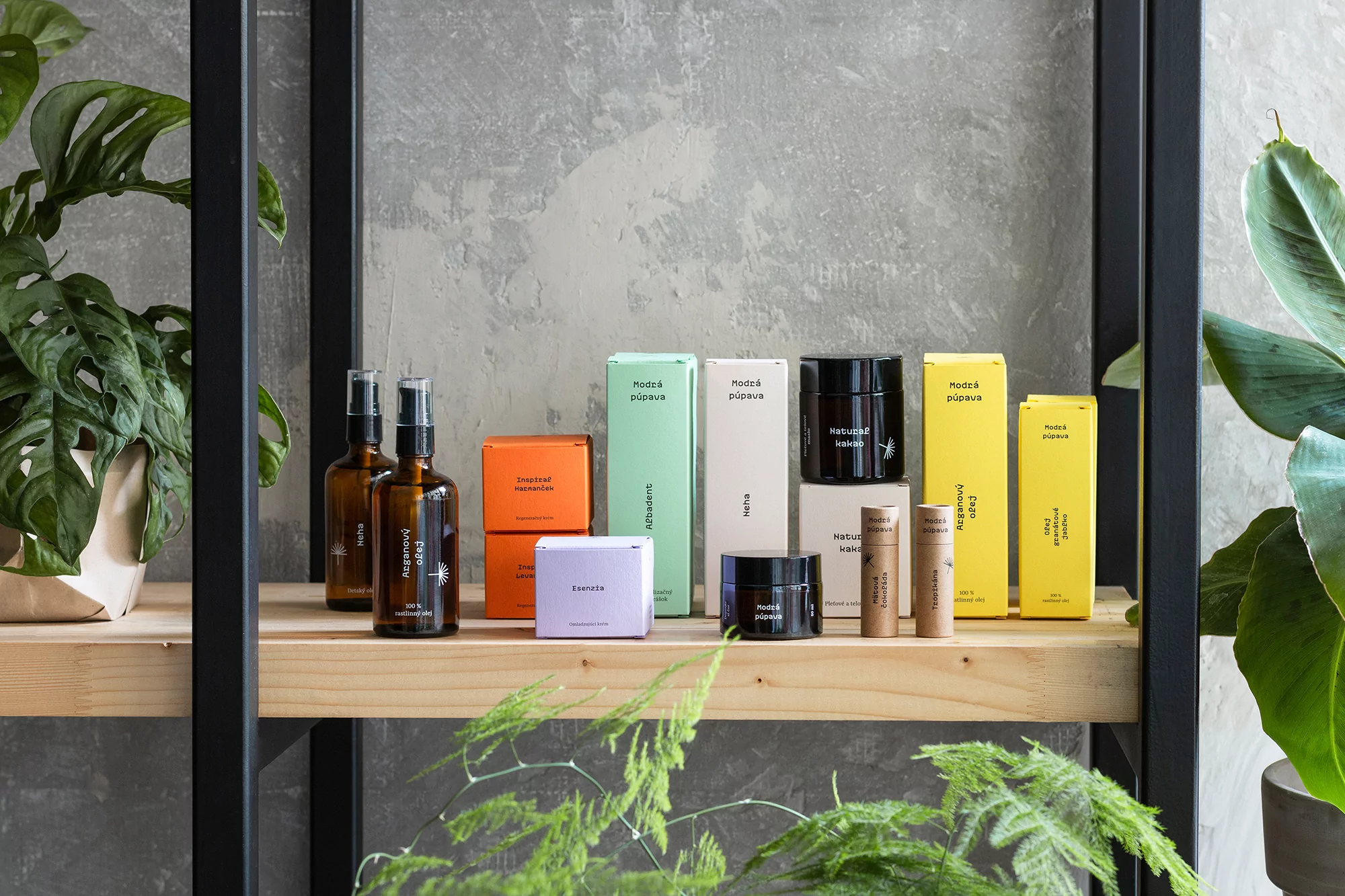 Still life of various skincare and cosmetic products on a wooden shelf against a grey wall, framed by green plants, showcasing a clean and minimalist aesthetic.