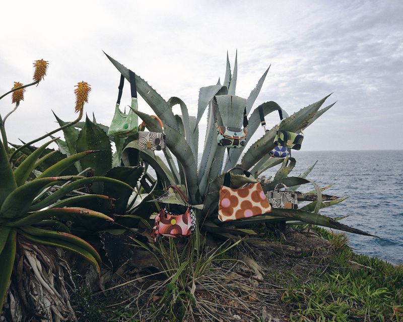 Handbags displayed on large agave plants against an ocean backdrop under an overcast sky, showcasing a blend of nature and fashion.