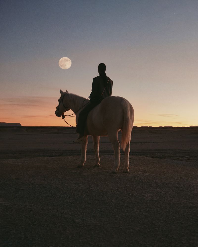 A lone equestrian figure in silhouette rides a horse across a flat landscape under a full moon, creating a serene and tranquil scene.