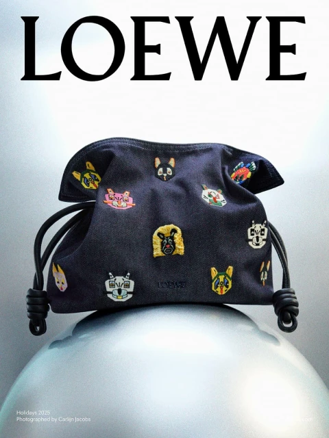Close-up of a Loewe pouch bag featuring embroidered animal designs, placed on a reflective silver surface with a soft, gradient background.