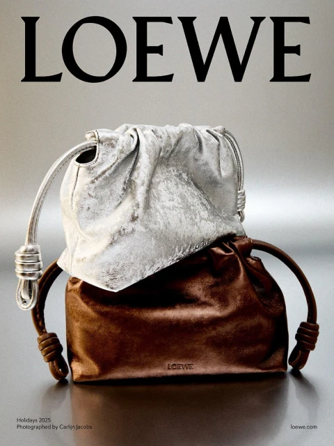 Loewe handbag in silver and brown tones. Studio shot for an ad campaign. Holidays 2025, Photographed by Carlijn Jacobs.